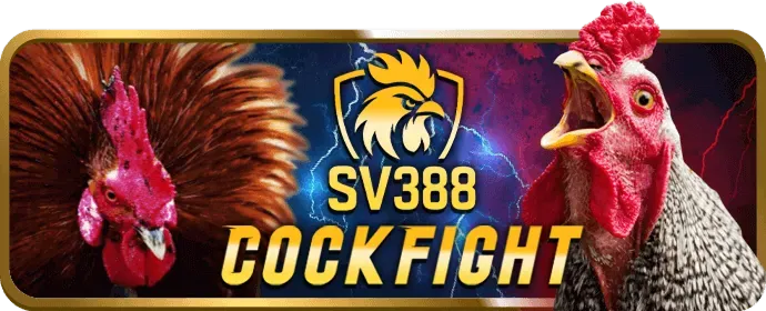 Ưu đãi độc quyền Q8Bet